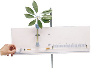Coutableov potometer (intenzita transpirácie)