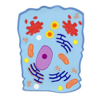 Veľká magnetická živočíšna bunka - AJ/NJ
