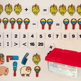 Magnetické obrázky na matematiku (ananás)