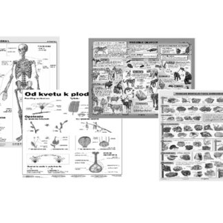 Triedna sada nástenných biologických tabúľ