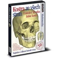 Kostra ze všech stran - single