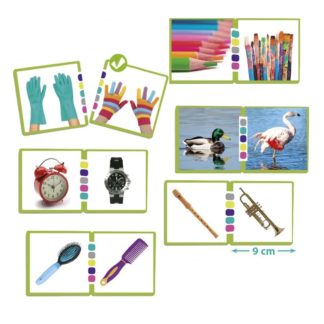 Čo majú spoločné? (fotografie)