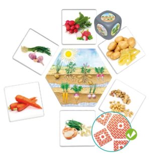 Každodenné potraviny (hra s fotografiami)