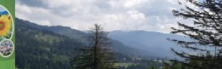 SW enviro, ekológia a životné prostredie + zbierka aktivít